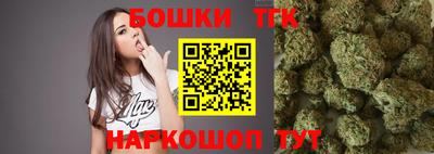 прущие грибы Гусиноозёрск