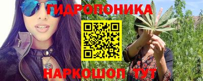 эйфоретик Гатчина