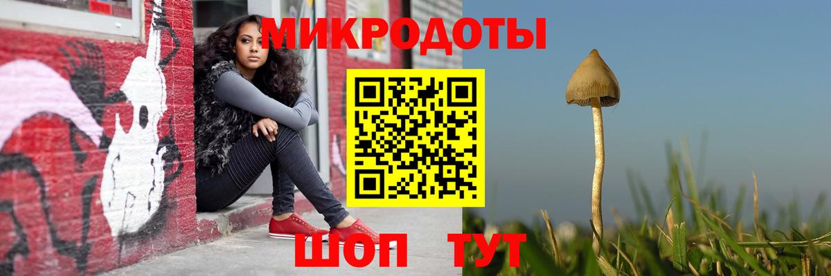 даркнет сайт  Вход с VPN  Мелеуз  Галлюциногенные грибы MAGIC MUSHROOMS 